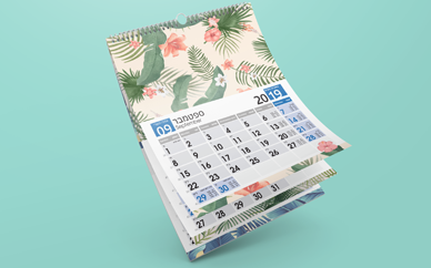 תמונה ללא תיאור