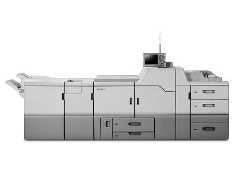 תמונה ללא תיאור