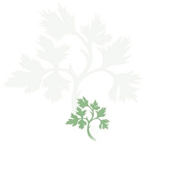 פתקיות מעוצבות