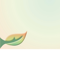 פתקיות מעוצבות