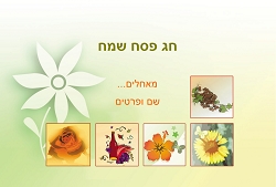 פסח (גודל 10*15 ס"מ)