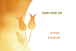 פסח (גודל 10*15 ס"מ)