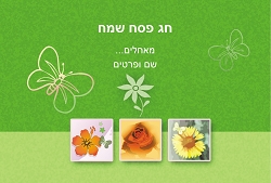 פסח (גודל 10*15 ס"מ)