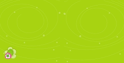 בת מצוה (בגודל 10*20)