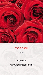 מקצועות