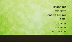 רקעים 