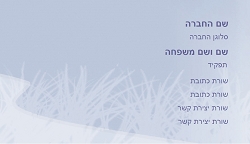 רקעים 