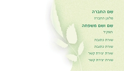 רקעים 