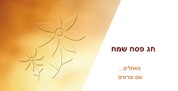 פסח (גודל 10*20 ס"מ)