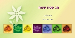 פסח (גודל 10*20 ס"מ)