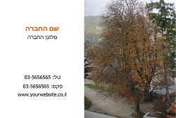 גלויות נוף בגודל 15X10