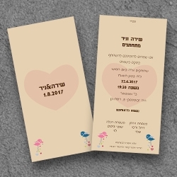 גלויה 10-20 ס"מ