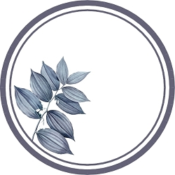 מדבקות ויניל עגולות קוטר 5 ס"מ