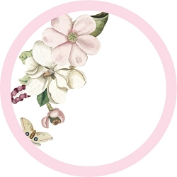 מדבקות ויניל עגולות קוטר 5 ס"מ